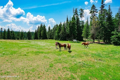 5939 E Burma Rd, Harrison, ID 83833 - photo 6