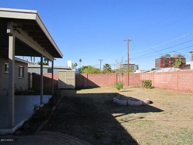 BACKYARD1