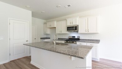 243 Wild Strawberry Ln, Moncks Corner, SC 29461 - photo 7