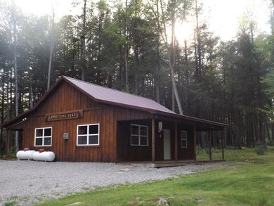 57 Bryn Mawr Dr, Lock Haven, PA 17745 - photo 2