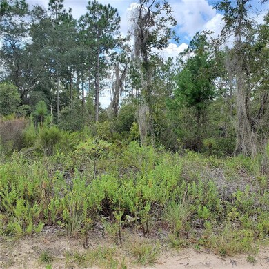 0 NE 66th Ln unit MFRO6077218, Williston, FL 32696 - photo 3