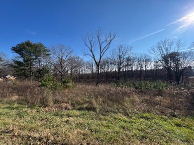 0 Columbia Hwy unit RTC3058032, Hohenwald, TN 38462 - photo 5