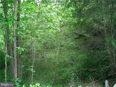 431 Egg Harbor Rd, Sewell, NJ 08080 - photo 6