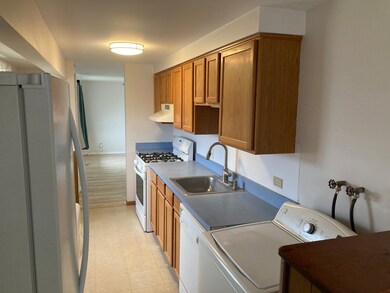 304 Amarillo Dr, Carpentersville, IL 60110 - photo 5