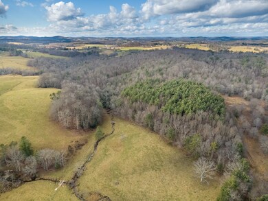 48 Acres R-Way Dr, Hillsville, VA 24343 - photo 4