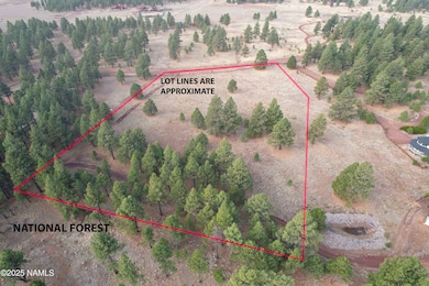 4540 Forrest Ranches Loop, Parks, AZ 86018 - photo 2