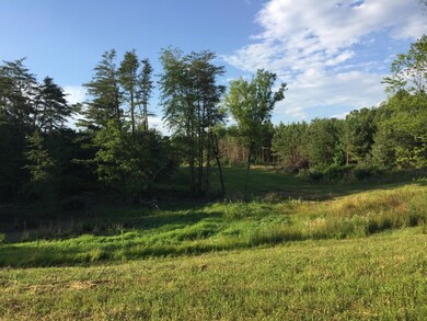 0 Thomas Springs Rd unit RTC2954745, Crossville, TN 38572 - photo 4