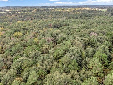 TBD County Road 711, Nacogdoches, TX 75964 - photo 5