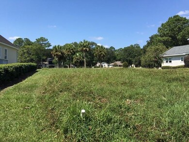 1175 Sea Palms West Dr, St. Simons Island, GA 31522 - photo 6