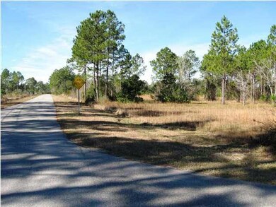 Facing west on Mier Henry Rd. Property is to the right.