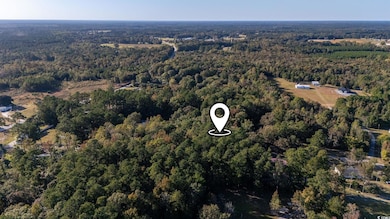 TBD Barnes Rd, Andrews, SC 29510 - photo 4