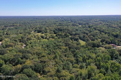 DJI_0404