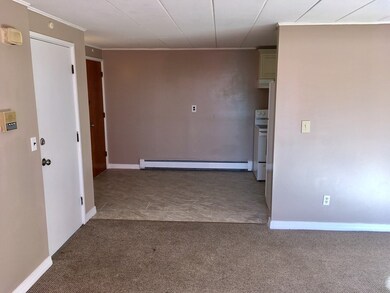 18 Nelson Dr unit 3H, Randolph, MA 02368 - photo 6