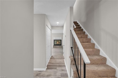 1319 River Birch Run S, Chesapeake, VA 23320 - photo 4