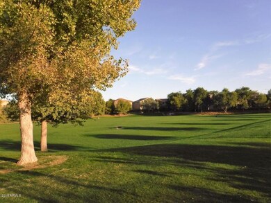 Park Green 2
