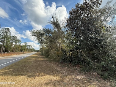 Lot 24 Nortek Blvd, Marianna, FL 32448 - photo 3