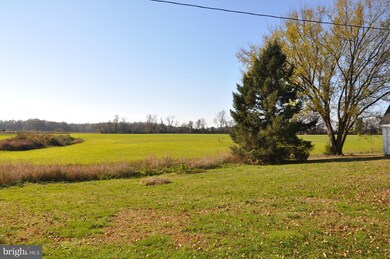 8415 Rock Hall Rd, Chestertown, MD 21620 - photo 6