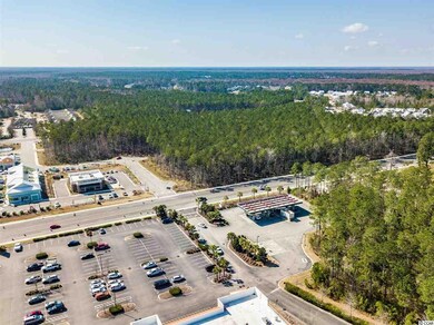 1.00 Acres S Carolina 707 unit at TPC Blvd, Murrells Inlet, SC 29576 - photo 3