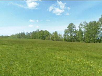 Sloping field