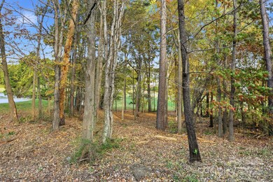 301 Bing Crosby Blvd, Bermuda Run, NC 27006 - photo 7