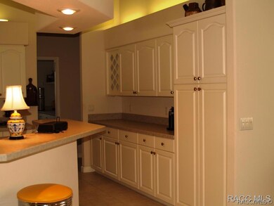 Extra counter/cabinets/pantry.
