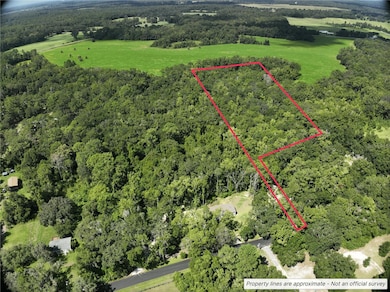 21490 NW 106th Court Rd, Micanopy, FL 32667 - photo 2