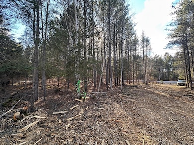 8308 Highway 21 N, Babbitt, MN 55706 - photo 5