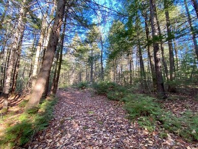 IMG_0723