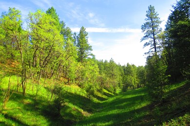 26 Owen Baldwin Pkwy unit Parcel H4, Trinidad, CO 81082 - photo 7
