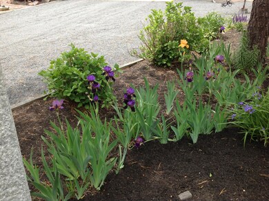 Spring Gardens