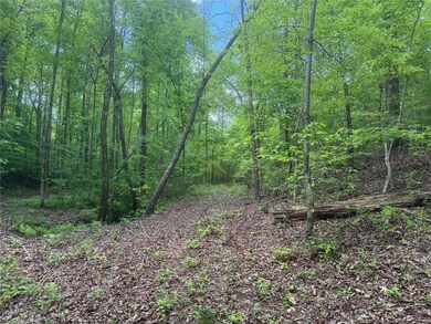 View of local wilderness