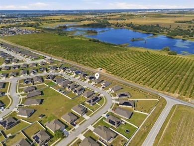 2001 Amber Sweet Cir, Dundee, FL 33838 - photo 2