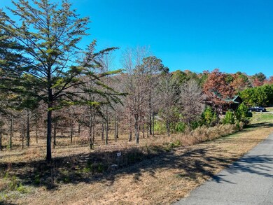 Lt 52-53 Village Loop, Blairsville, GA 30512 - photo 5