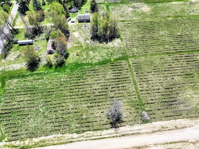 VL Benny Ct (Private) Lot#wp005 unit Lot 5, Grand Junction, MI 49056 - photo 7