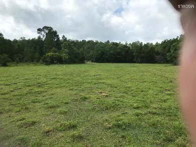 23000 Enoch Nettles Rd, Picayune, MS 39466 - photo 2