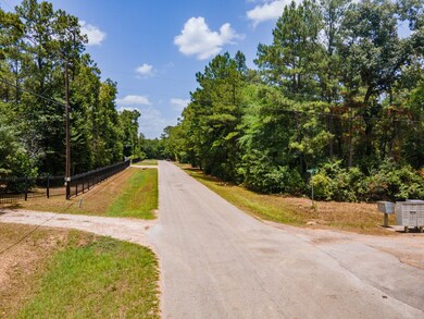 22051 Schneider Cir, Hockley, TX 77447 - photo 6