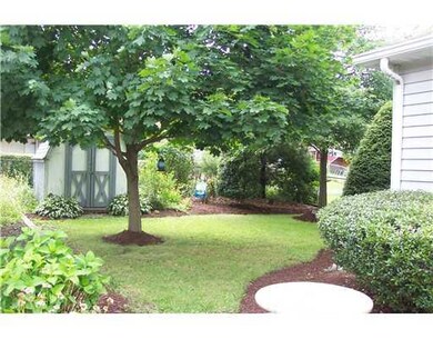 Yard/Garden.