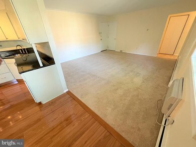 383 Lakeside Rd unit 205, Ardmore, PA 19003 - photo 4