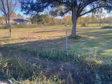 7444 King St, Manvel, TX 77578 - photo 3