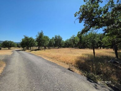 480 Oliva Dr, Hayfork, CA 96041 - photo 4