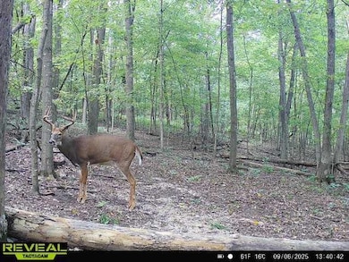 43167 Guthrie Rd, Clayton, WI 54631 - photo 5