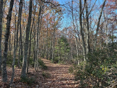 0 Cone Creek Rd, Gap Mills, WV 24941 - photo 7