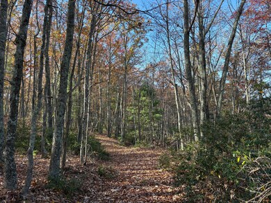 1080 Roxalia Turnpike Rd, Gap Mills, WV 24941 - photo 7