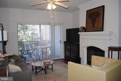 Bryson At Woodland Park unit 207, Herndon, VA 20171 - photo 2