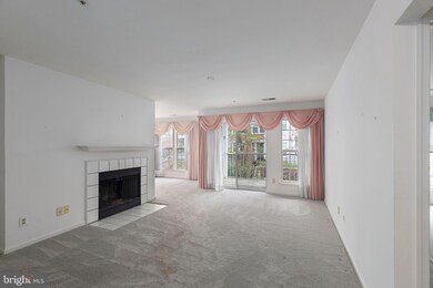 4407 Silverbrook Ln unit C203, Owings Mills, MD 21117 - photo 3