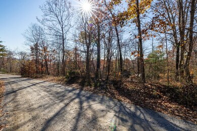 Lt G-51 Deer Track Rd, Luray, VA 22835 - photo 5