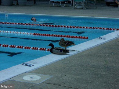 Van Ness East unit 116, Washington, DC 20008 - photo 5