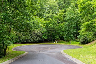 99999 Running Deer Trail unit 80, Mills River, NC 28742 - photo 2