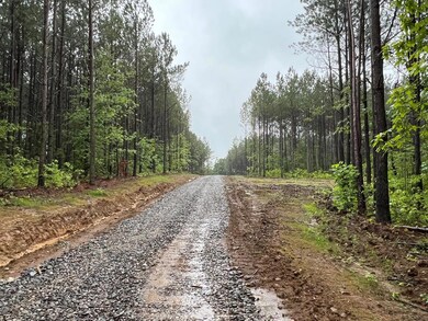 32 Ac Thomas Springs Rd, Crossville, TN 38572 - photo 4