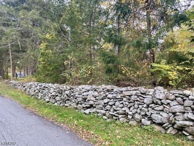 7 Stempert Rd, Branchville, NJ 07826 - photo 6